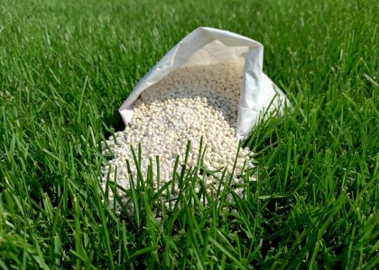 Bag of granular fertiliser on lawn