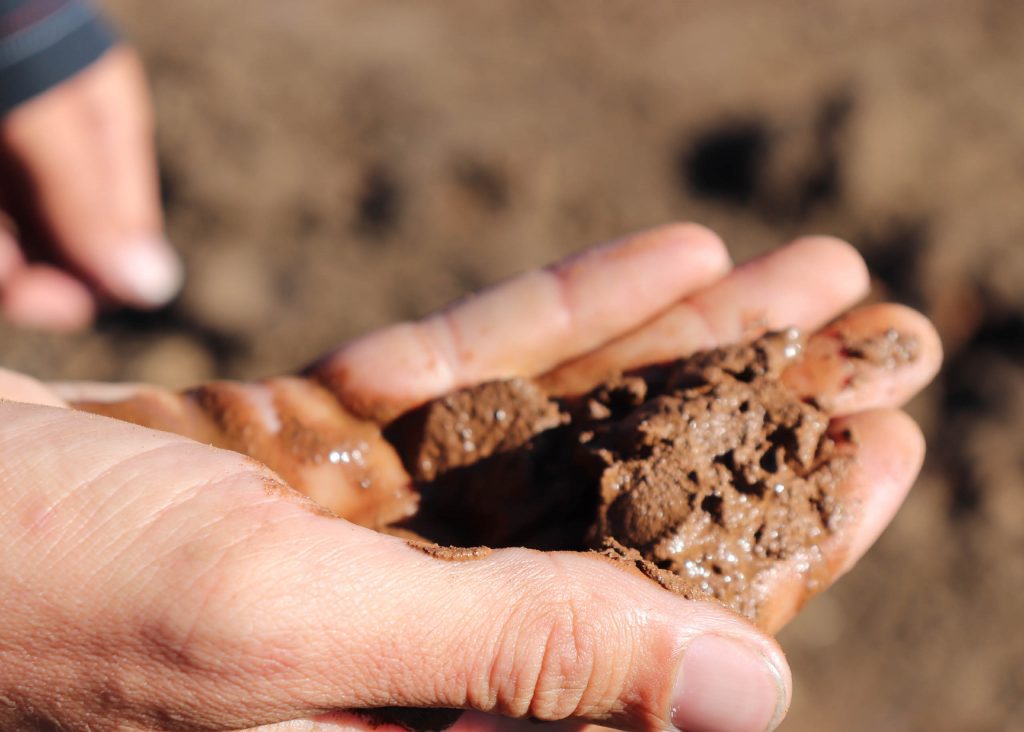 Man holding clay based soil in his hands.