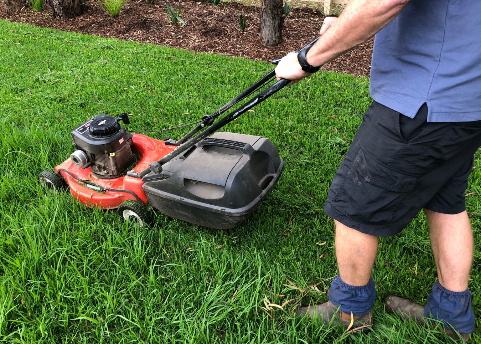 Is It Okay To Fertilise Your Lawn After Mowing is-it-okay-to-fertilise-your-lawn-after-mowing