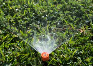 Watering your lawn during drought conditions
