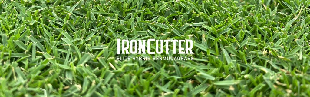 Australian Seed & Turf Farm